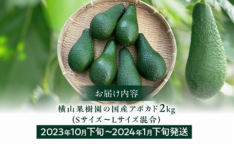 【2023年10月下旬～2024年1月下旬発送】横山果樹園の国産アボカド2kg（１玉２００g以上～）