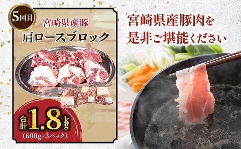 【全5回】豚肉定期便 バラ ロース 切り落とし ヒレ 肩ロース