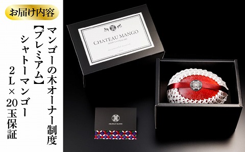 シャトーマンゴー／マンゴーの木オーナー制度【プレミアム】