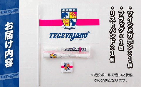 テゲバジャーロ宮崎　応援グッズ3点セット