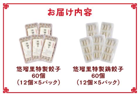 悠瑠里特製餃子60個&鶏餃子60個 食べ比べセット