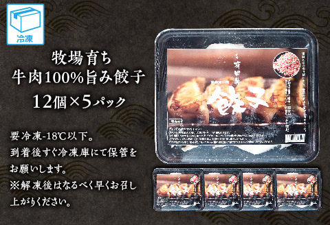 牧場育ち 牛肉100％旨み餃子（餃子12個パック×5）