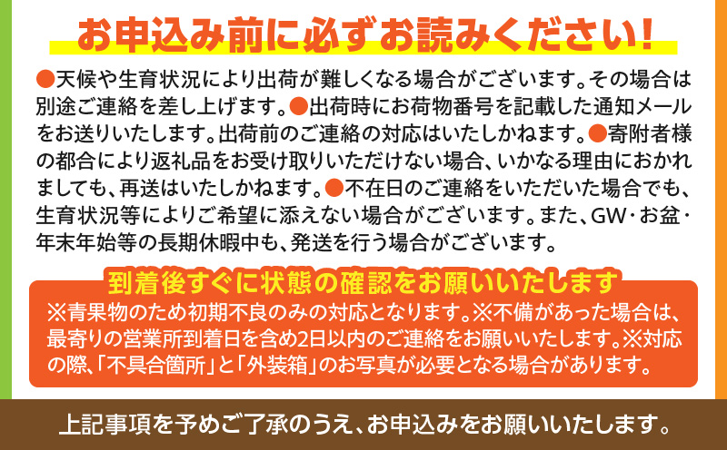 《2026年発送先行予約》【数量・期間限定】宮崎県産 訳あり完熟マンゴー 1.2kg 訳あり 完熟マンゴー 果物