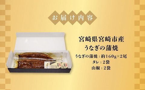宮崎県宮崎市産　うなぎの蒲焼　約320g（約160g×2尾）タレ・山椒セット