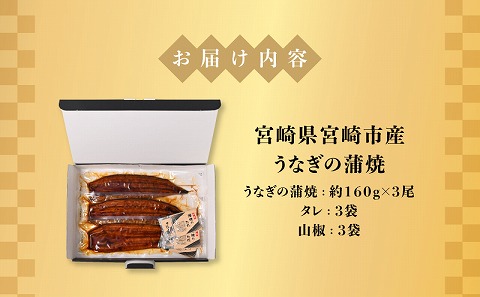 宮崎県宮崎市産　うなぎの蒲焼　約480g（約160g×3尾）タレ・山椒セット