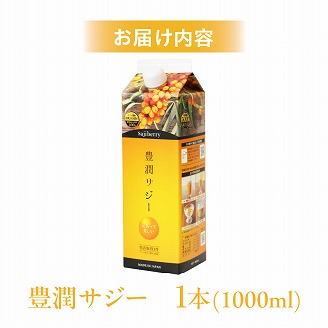 豊潤サジー 1000ml サジージュース【紙パックタイプ】: 宮崎市ANAの 