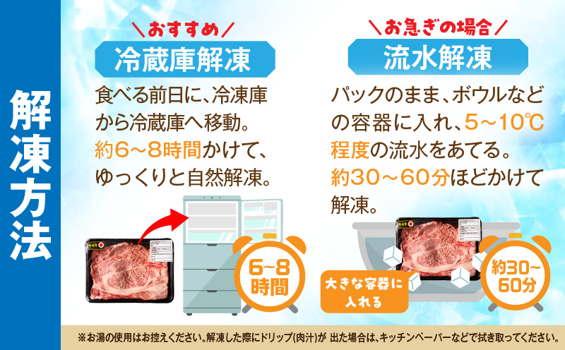 宮崎牛ロース大判スライス焼肉用500g ロース 大判サイズ 焼き肉