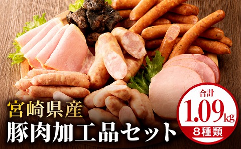 宮崎県産豚肉加工品セット（合計1.09kg 8種類）