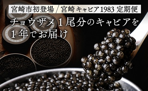 【定期便全4回】チョウザメ1尾分のキャビアを1年でお届け