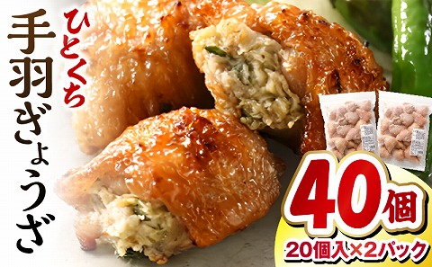 ひとくち 手羽 ぎょうざ 計40個 20個入×2パック