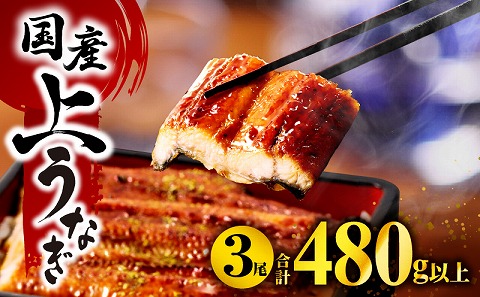 九州産うなぎ蒲焼3尾（計480g以上＆さんしょう、たれ付き） うなぎ 鰻 ウナギ 鰻蒲焼き うなぎ蒲焼き 国産 3尾 特大 宮崎 冷凍 うなぎのたれ ウナギの蒲焼用さんしょう 鰻楽 まんらく 冷凍 グルメ 惣菜 養殖 宮崎市