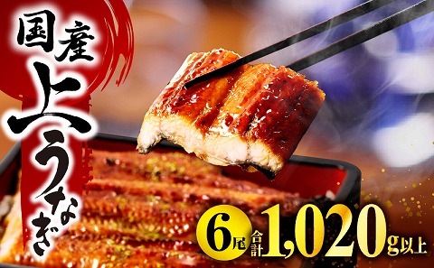 国産うなぎ 蒲焼6尾(計1,020g以上) 鰻蒲焼用たれとさんしょうのセット|うなぎ1尾170g以上の鰻6尾からなるウナギの詰め合わせ 鰻 たれ 国産 うなぎ 蒲焼 6尾 惣菜 簡単調理 化粧箱 贈答 贈り物 冬うなぎ 冬鰻