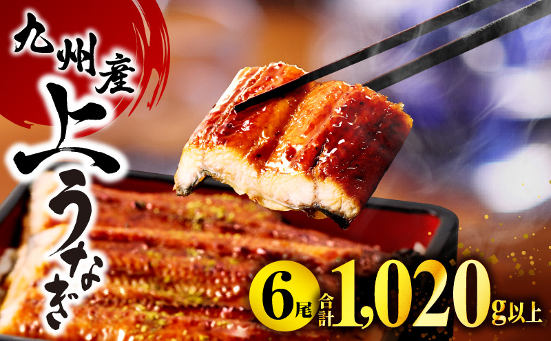 九州産うなぎ蒲焼6尾(計1,020g＆さんしょう、たれ付き) 鰻 たれ 国産 うなぎ 蒲焼 6尾 惣菜 簡単調理 化粧箱 贈答 贈り物 冬うなぎ 冬鰻