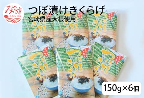 宮崎県産大根使用　つぼ漬けきくらげ150g×6個