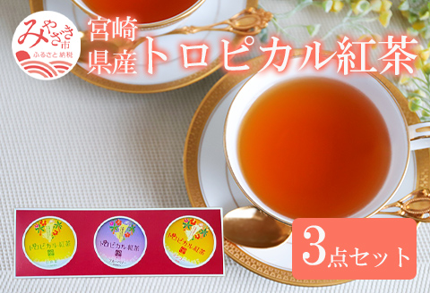 トロピカル紅茶 3点 セット