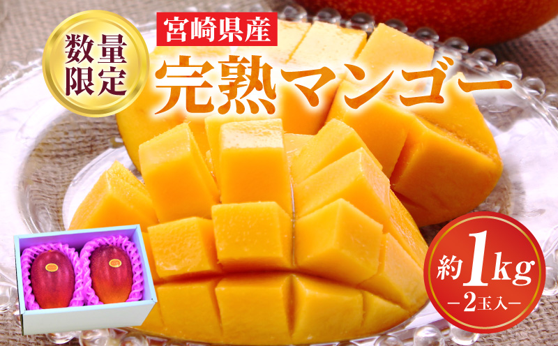 《2026年発送先行予約》【数量・期間限定】完熟マンゴーA3L(2玉入り) フルーツ 果物 宮崎県産