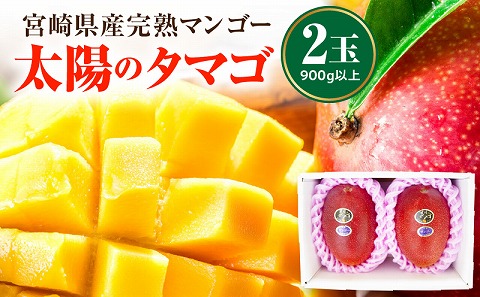 《2026年発送先行予約》【数量・期間限定】宮崎県産完熟マンゴー「太陽のタマゴ」A3L(2玉入り) 国産 マンゴー 太陽のタマゴ ギフト