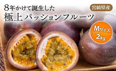 《2026年発送先行予約》【数量・期間限定】8年かけて誕生した宮崎県産極上パッションフルーツＭ 2kg 完熟 フルーツ 贈り物