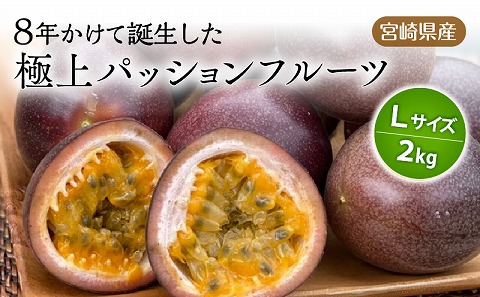 《2026年発送先行予約》【数量・期間限定】8年かけて誕生した宮崎県産極上パッションフルーツＬ 2kg 完熟 フルーツ 贈り物 