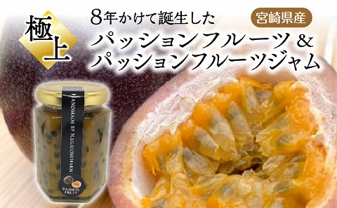 《2026年発送先行予約》【数量・期間限定】8年かけて誕生した《宮崎県産》極上パッションフルーツ＆極上パッションフルーツジャム フルーツ 果物 ギフト