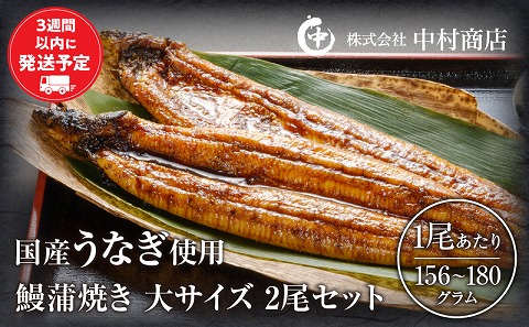 鰻蒲焼 大サイズ2尾セット