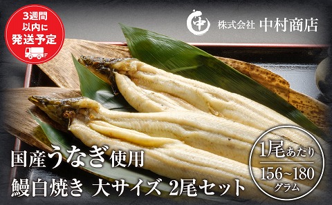 国産うなぎ使用　鰻白焼き　大サイズ（156～180g）2尾・肝焼きセット
