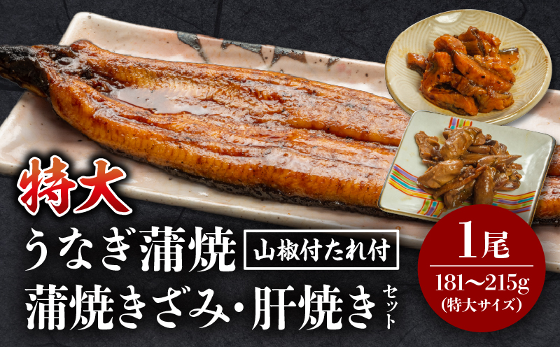 国産うなぎ蒲焼(特大サイズ)・きざみ・肝焼きセット 鰻 山椒 冷凍