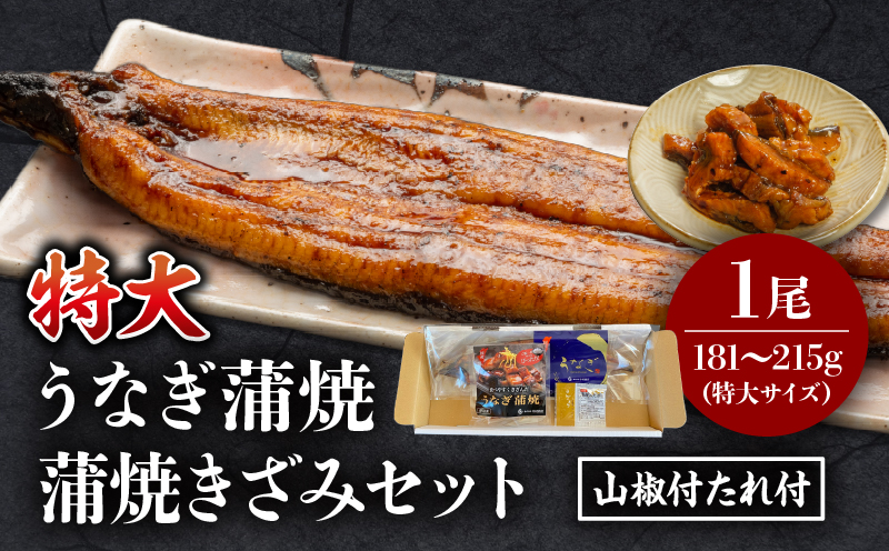 国産うなぎ蒲焼(特大サイズ)・蒲焼きざみセット 鰻 うなぎ ウナギ 国産 鰻蒲焼 蒲焼 蒲焼き うなぎの蒲焼 うなぎ蒲焼き 1尾 特大 きざみ セット 丑の日 うな丼 うな重 冷凍 簡単調理 湯煎 ボイル レンジ フライパン 丑の日 グルメ お取り寄せ 冷凍 パック 真空パック 惣菜 お惣菜 おかず ギフト