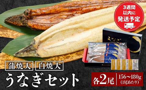 白焼大2尾・蒲焼大2尾セット