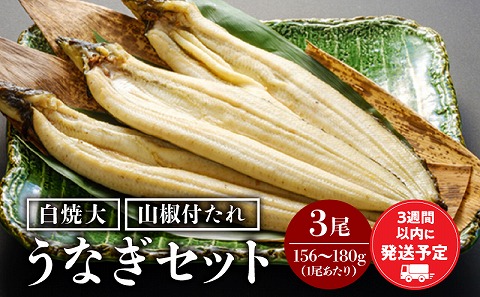 うなぎ白焼3尾セット