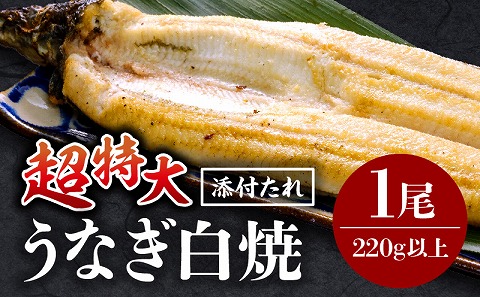 うなぎ白焼(超特大サイズ) 1尾