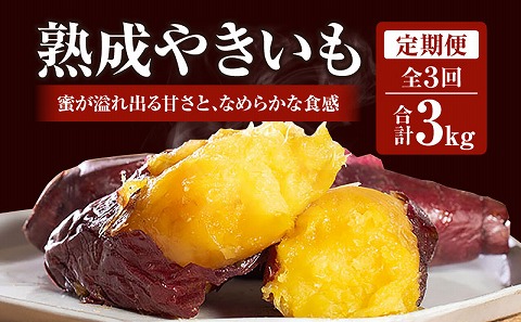 【定期便・全3回】熟成やきいも