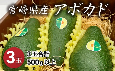 期間・数量限定 宮崎県産アボカド3玉(3玉合計500g以上)