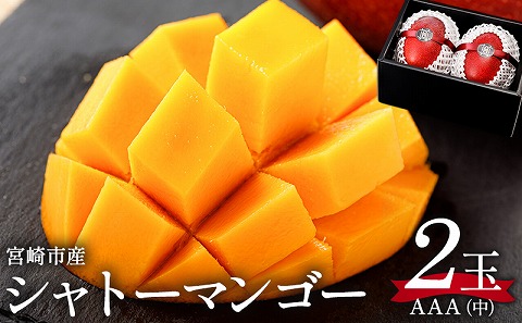 《2026年発送先行予約》【数量・期間限定】シャトーマンゴー(中) AAA 2玉 宮崎マンゴー シャトーマンゴー フルーツ 果物 果実 スイーツ 完熟 