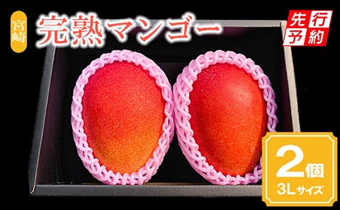 《2026年発送先行予約》【期間・数量限定】宮崎市産完熟マンゴー2玉 3Lサイズ(1玉400～449g) 完熟 濃厚 甘い マンゴー 果物
