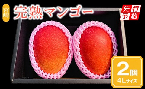 《2026年発送先行予約》【期間・数量限定】宮崎市産完熟マンゴー2玉 4Lサイズ(1玉450～499g) 完熟 濃厚 甘い マンゴー フルーツ