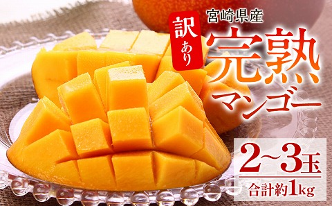 《2026年発送先行予約》【数量・期間限定】【訳あり】 完熟マンゴー 合計約1kg (2～3玉) 完熟 濃厚 訳あり