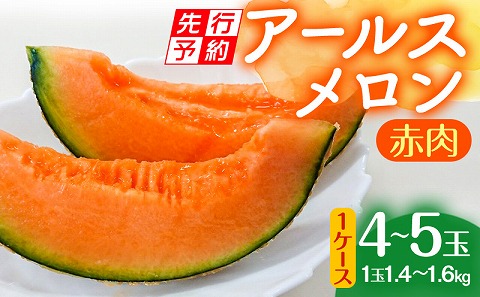 【先行予約】期間限定 数量限定 宮崎産 アールスメロン <赤肉> 1ケース(4～5玉)