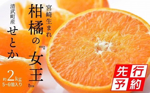 【期間・数量限定】宮崎市清武町産「せとか」5～6個入り（約2kg）
