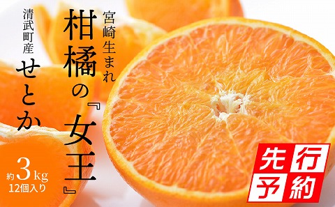 【期間・数量限定】宮崎市清武町産「せとか」12個入り（約3kg）