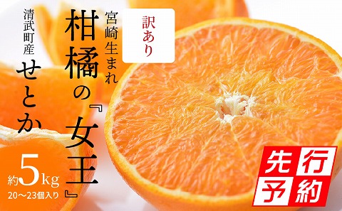 【期間・数量限定】宮崎市清武町産「せとか」訳あり（20～23個入）（約5kg）
