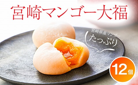 宮崎県産マンゴーたっぷり【宮崎マンゴー大福】12個入り