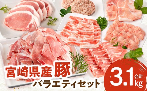 宮崎県産豚 バラエティセット 7種 合計3.1kg