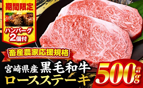 【期間・数量限定】畜産農家応援！宮崎県産黒毛和牛ロースステーキ250g×2・国産牛ハンバーグ100g×2個 牛肉 ロースステーキ ステーキ