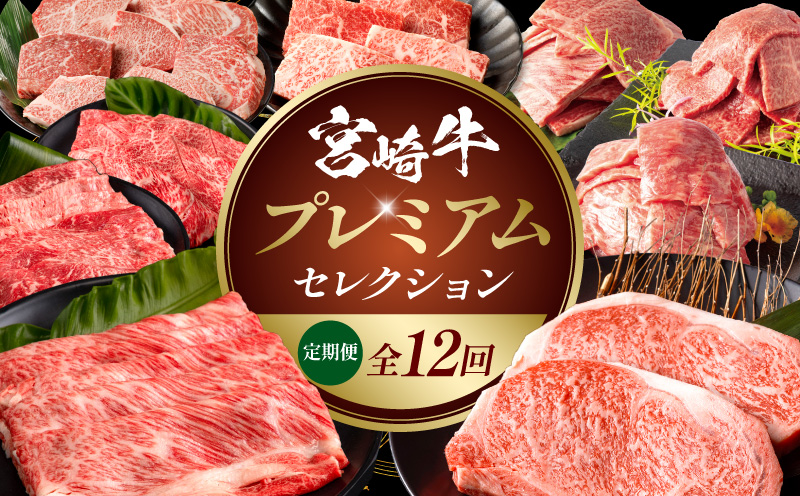 【全12回定期便】宮崎牛プレミアムセレクション 肩ロース ロースステーキ 焼肉