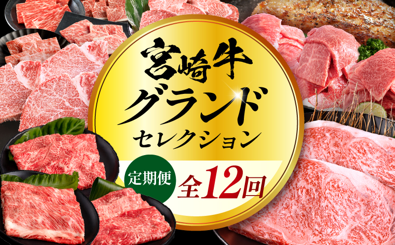 【全12回定期便】宮崎牛グランドセレクション 肩ロース ペッパーハンバーグ 焼肉