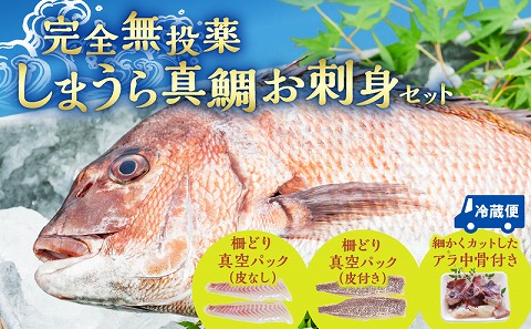 【完全無投薬】しまうら真鯛お刺身セット