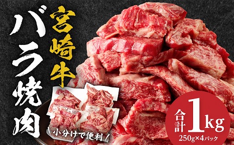 宮崎牛バラ焼肉 合計1kg_M144-020