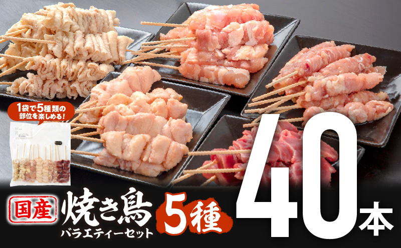 若鶏の焼き鳥セット5種(40本)バラエティーセット 焼鳥 鶏肉 小分け