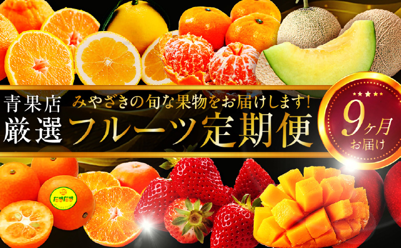 青果店厳選！「くだもの定期便Vol.1」(全9回) いちご きんかん 日向夏 マンゴー メロン みかん 不知火